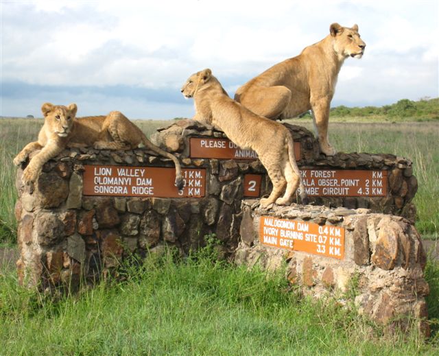 Tour Destination Image