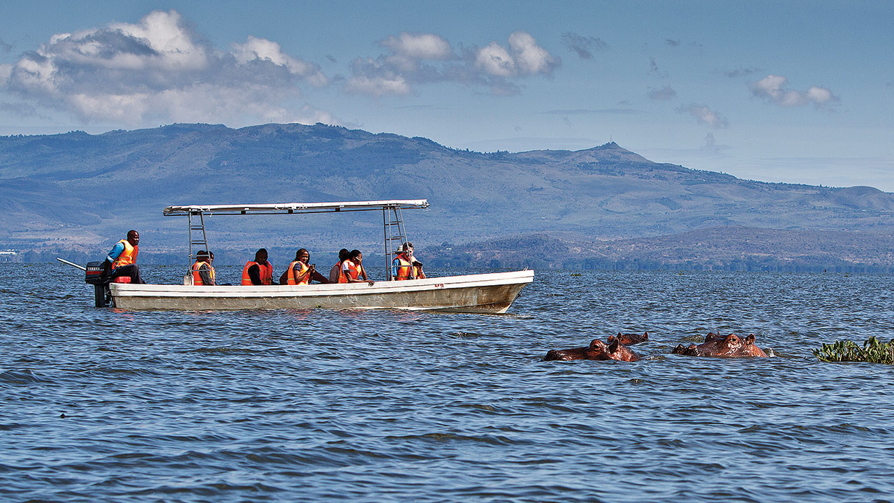 How to Plan a Budget Safari in Kenya: A Complete Guide for First-Time Adventurers
