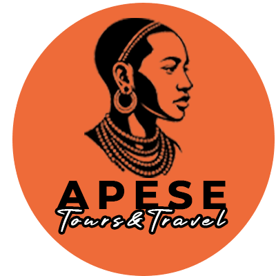 Why Book with Apese Tours? Our Story and Values